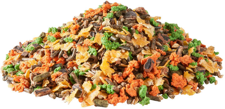 Hasfit Aufzuchtfutter GoldConfekt